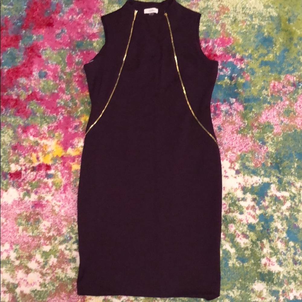 Plum Calvin Klein dress with gold zippers size 10